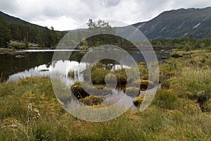 River otra in the Setesdal