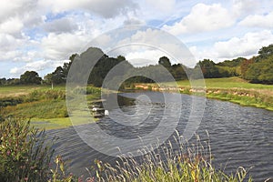 River Otter, Tipton St John, Devon photo