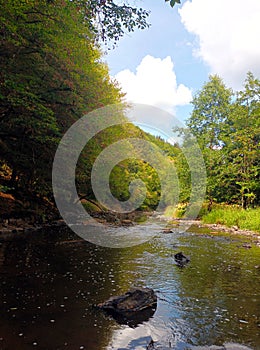 River Our in region Eifel Ardennes, border between Luxembourg and Germany