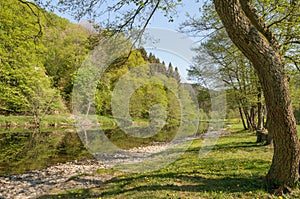 The river Ourthe near Maboge in the Ardennes, Belgium photo