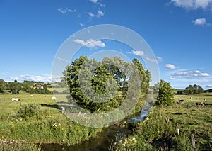 river ourthe occidentale in belgian ardennes region in summer under blue sky photo