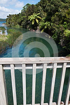 River outlet from Lake Tarawera