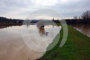 river overflowed due to the incessant rain and the countryside with its cultivated fields was completely flooded