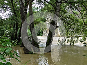 The river overflowed its banks