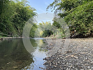 River panoramic landscape with green forest and sunny weather