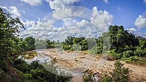 River panoramic view in Kruger National park, South Africa