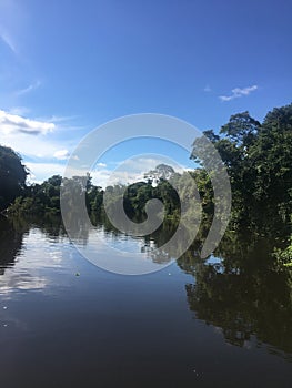 River at Pantanal Sul, Brazil photo