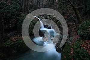 River passing the forest with trees