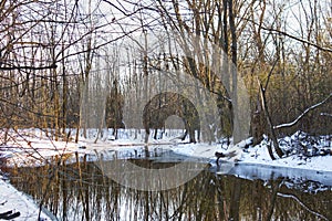 A river passing through a wooded area after the first snow covering the ground