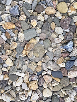 River Pebble Stones in detail