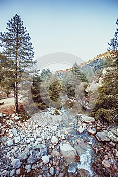 River with pebbles, mountains and picturesque forest. Enchanting and evocative landscape.