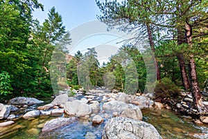 River with pebbles, mountains and picturesque forest. Enchanting and evocative landscape. photo