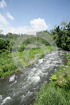 River photo, Bali Island, Indonesia