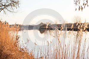 The river and plants in foreground at a lost place in fresenburg emsland germany