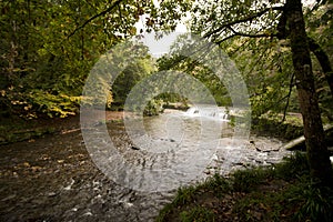River Plym , Plym Valley , Dartmoor
