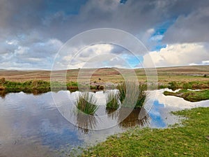 River Plym Trowlesworthy Warren Dartmoor National Park Devon uk