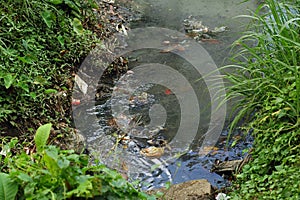 River pollution
