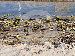 River pollution, Plastic bottle in the water