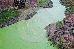 Un rio contaminación 