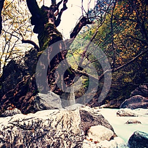 River of Pozar at Aridaia