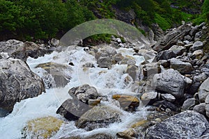 River Pushpavati flowing along with Trek to Valley of Flowers, Uttarakhand, India