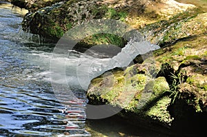 River in the PÃƒÂ©rigord