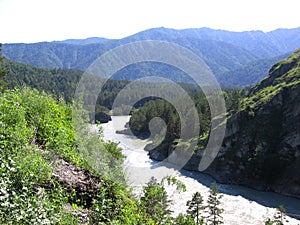 The river rages High dark mountains the Altai mountain pass in the green valley