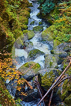 River rages through narrow valley of mossy boulders covered in yellow fall leaves