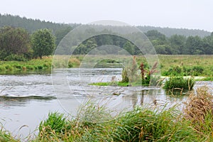 River with the rain