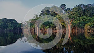 River and rain forest at Amazonas, Brazil