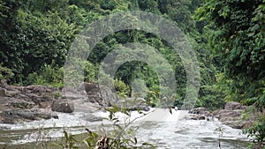 River within the rainforest.