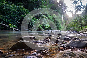 River in rainforest in the jungle of Bukit Lawang in Indonesia.