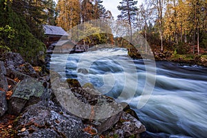 The river with rapids in the beautiful autumn forest in Oulanka National park, Finland