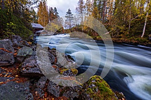 The river with rapids in the beautiful autumn forest in Oulanka National park, Finland photo