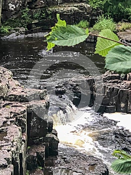 River rapids at Dells of Eau Claire County Park in Wisconsin