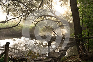 River with rapids in the fog in the forest in the morning at dawn