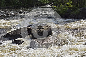 River rapids photo