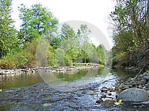 River Rasina