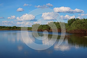 River reflection photo