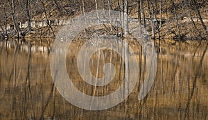 River Reflections, Spring in Sheboygan Falls, Wisconsin