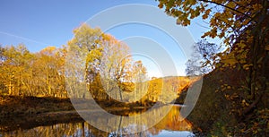 River with reflexion of autumnal forest