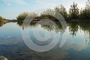 River reflexion and green foliage