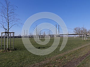 River Rhein Park, view to Theodor Heuss Bridge, DÃ¼sseldorf Germany, Young trees tied up