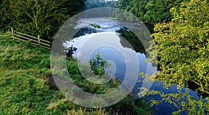 River ribble at Marles wood, Lancashire.