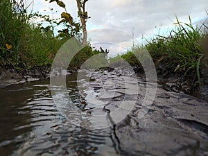 River between a ricefields at afternoon