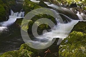 River with riffles in Tollymore forest park