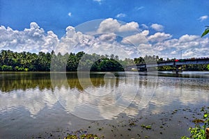 River Road Bridge Leading Coconut trees line Clouds