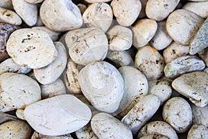 River Rock Stones