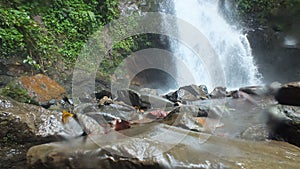 River rock with waterfall background