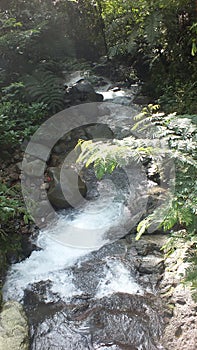 River rock with waterfall background